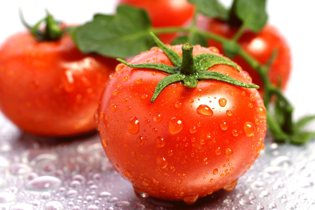 De vigtigste fordele ved tomater for folkesundheden og deres mest berømte skader - Comprehensive Encyclopedia