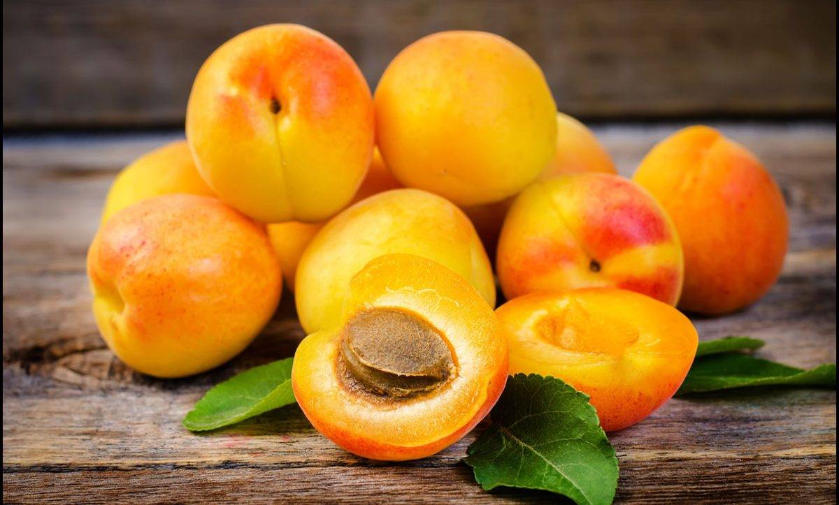 Nkọwa nke nrọ banyere ịhụ apricots na nrọ - Encyclopedia Al Shamil